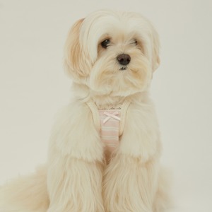【予約】[ thesallyslaw ] Bunny Top｜Pink Milk Stripe