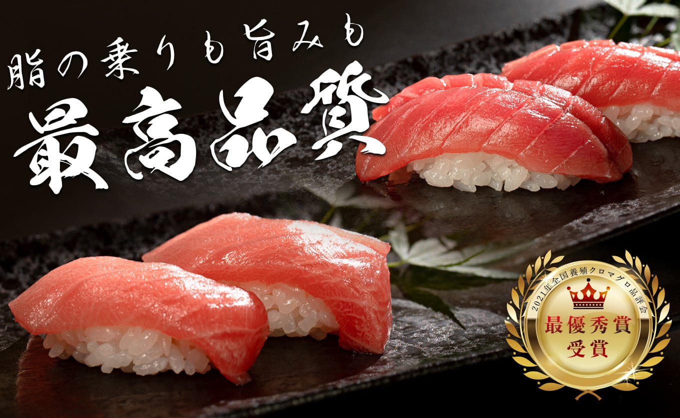 日本一の本まぐろ 最優秀賞受賞 赤身・中トロ 2種3柵 計450g 刺身用
