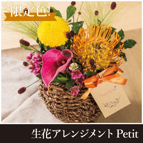 【敬老の日限定販売】生花アレンジメントpetit