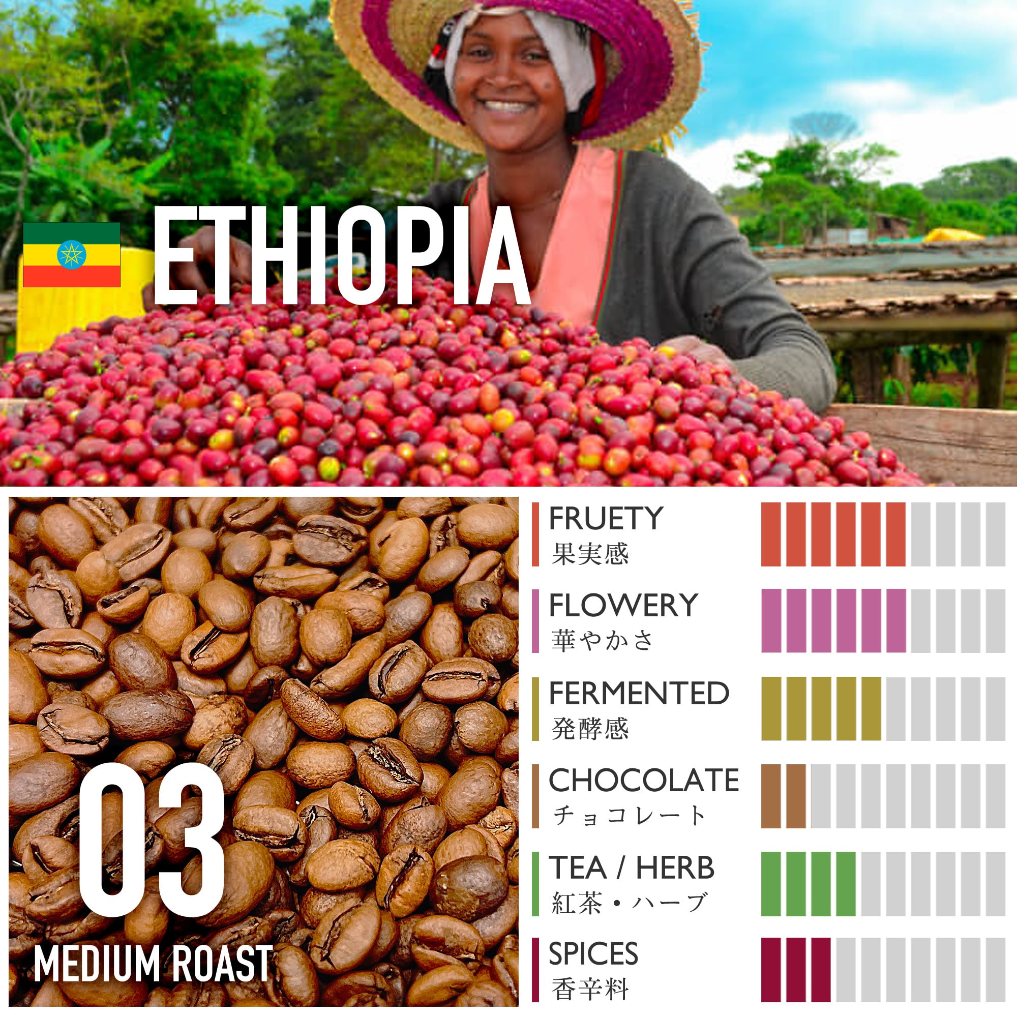 エチオピア/ゲシャ・カルマチ農園・アナエロビック・ナチュラル【中煎り】