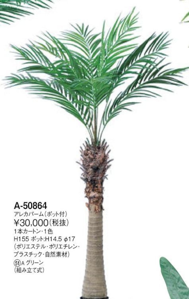 アレカパーム 花言葉「君を見守る」 高さ:155cm