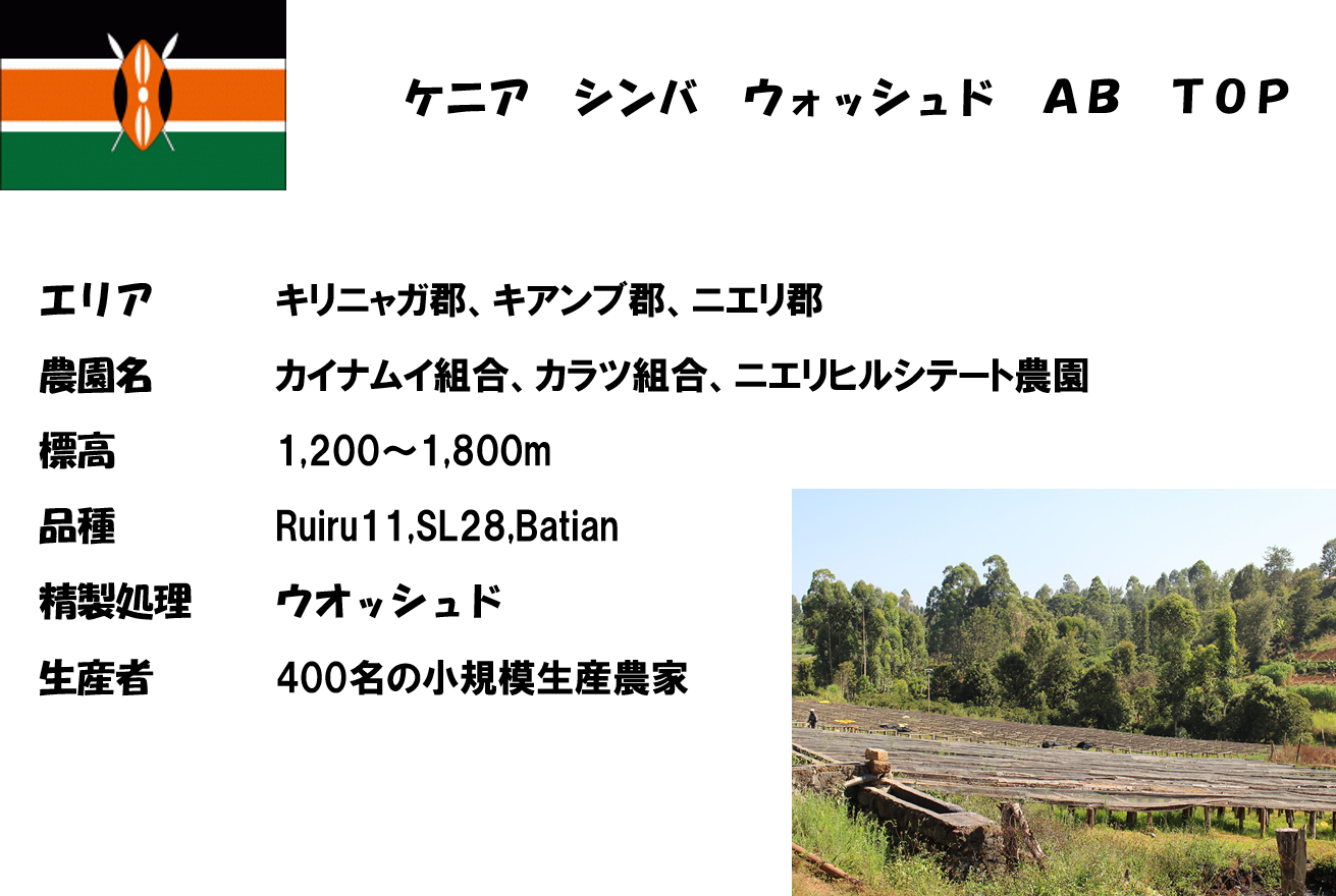 【TAKE OUT】パプアニューギニア ボカ農園 ウォッシュド