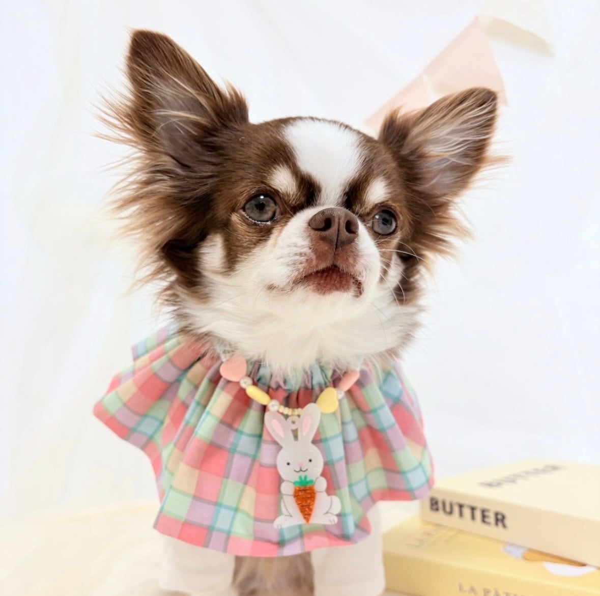 パステルイースターセット