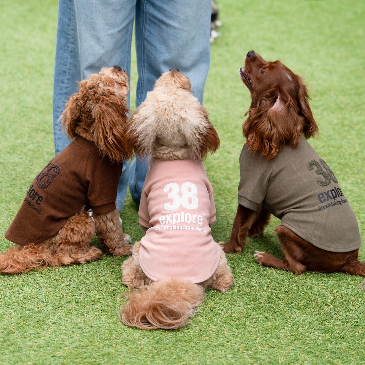 38DOG LOGO EMBROIDERY TEE / PINK