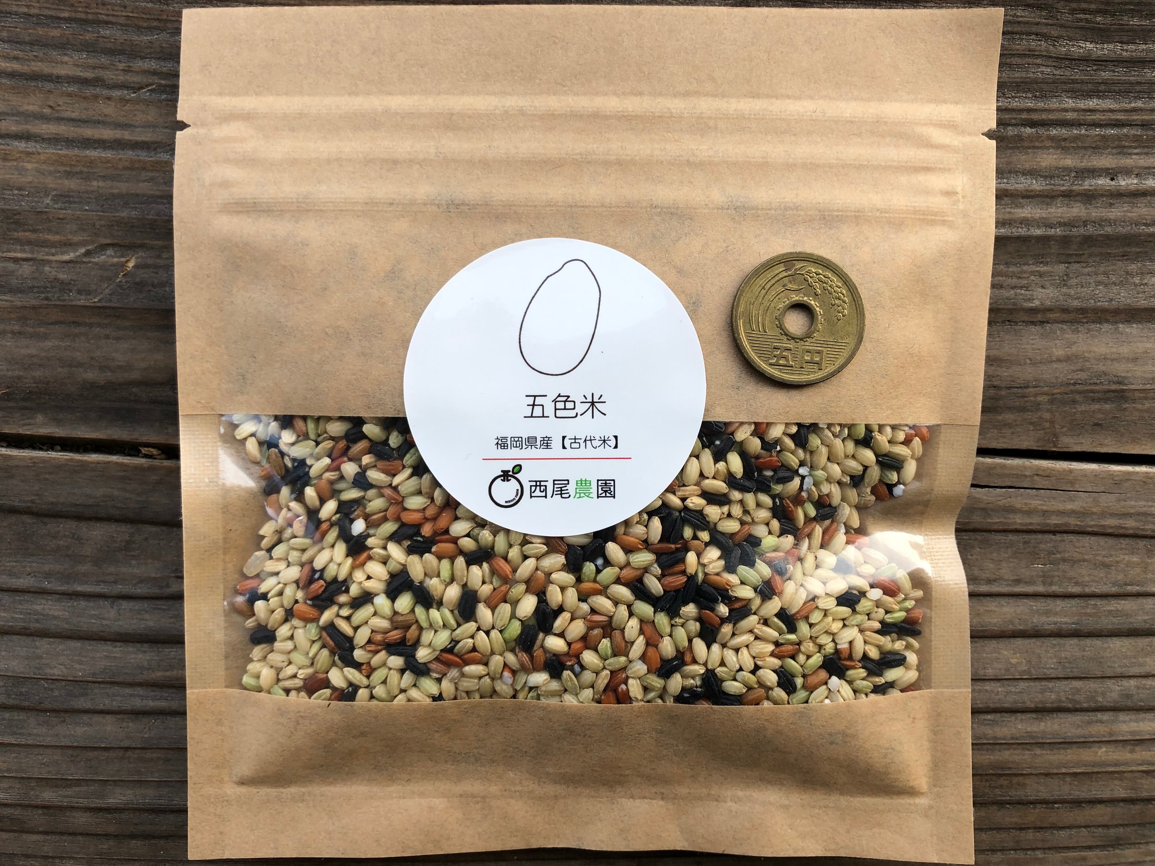 古代米.5色ブレンド5kg❣️天日干し、農薬なし 531b1ba6c5ad27ada71698846f6306