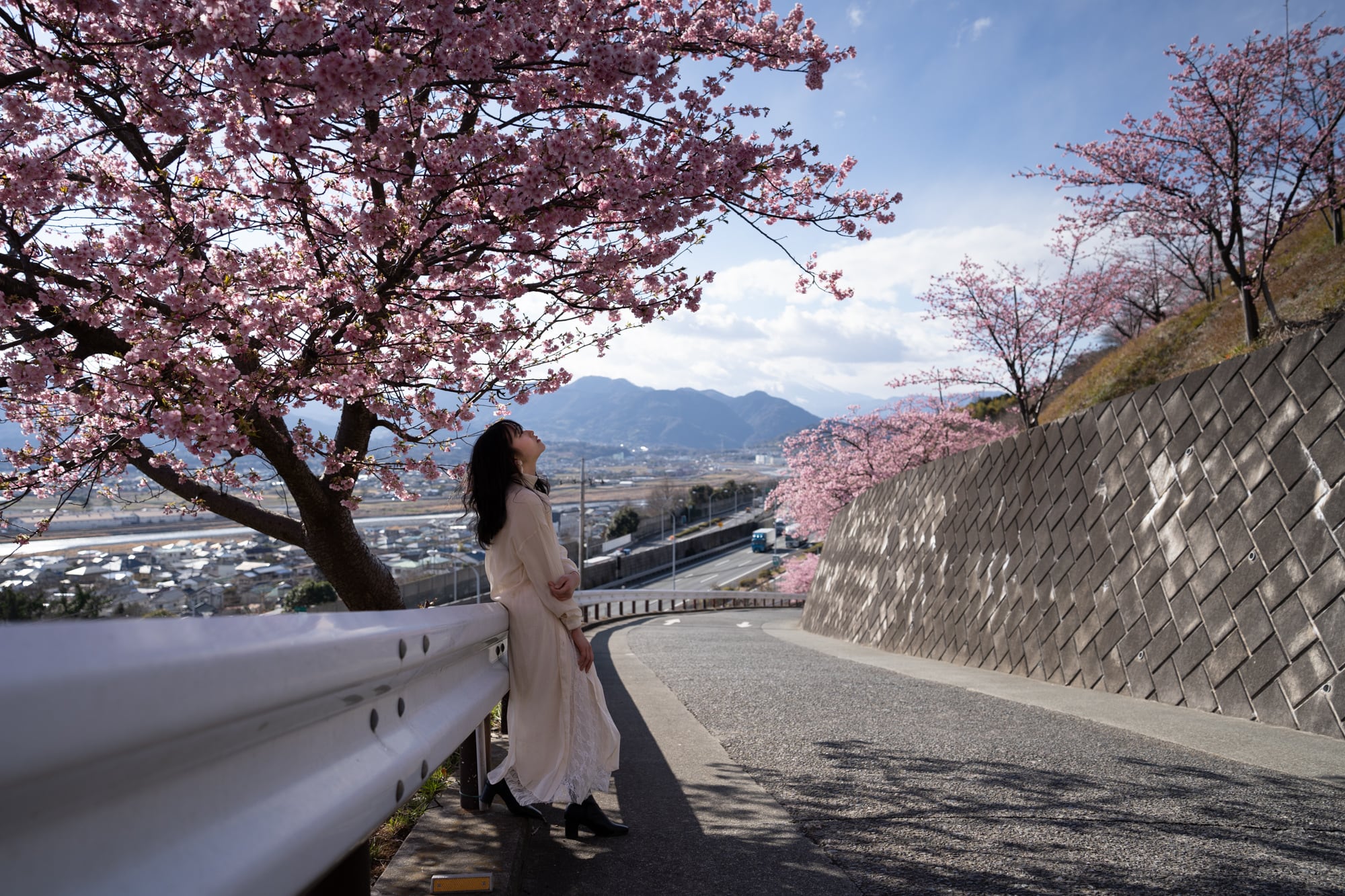 Makoto Ara presets for SAKURA【スマホ版】 | Lovegraph Shop