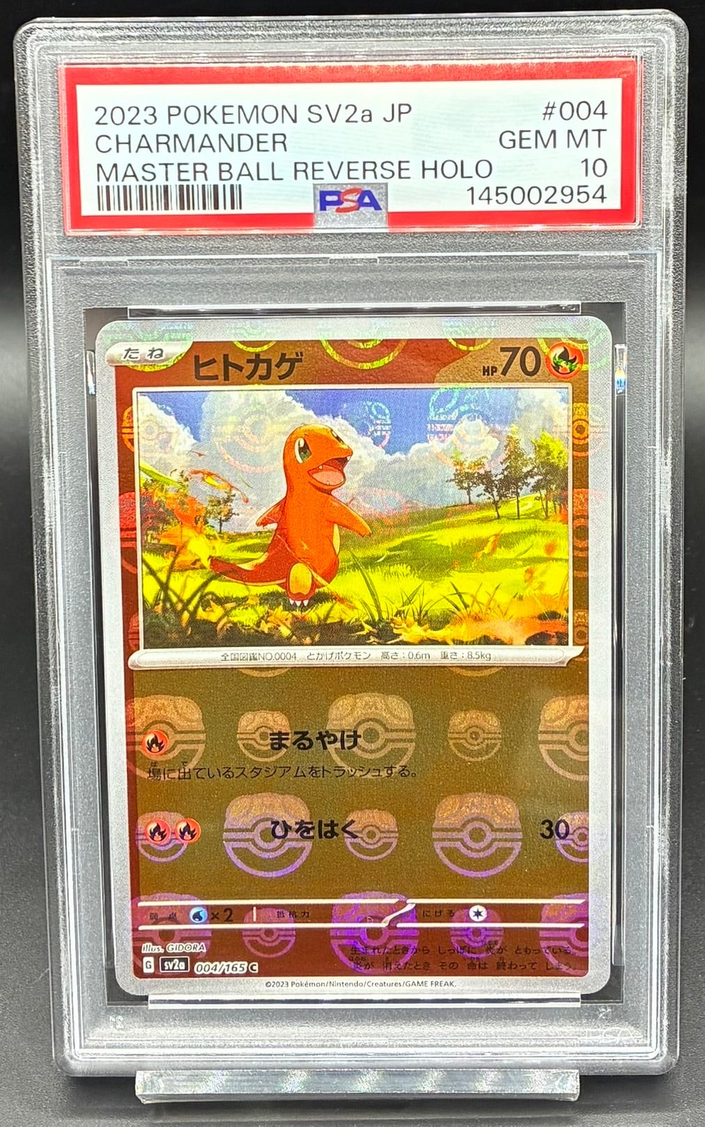 PSA10 ゲンシグラードンEX【UR】{094/081} [XY] | ワンピース