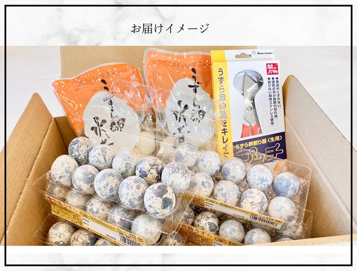 生食用殻付き鶉卵 スターターセット | 豊橋養鶉農業協同組合