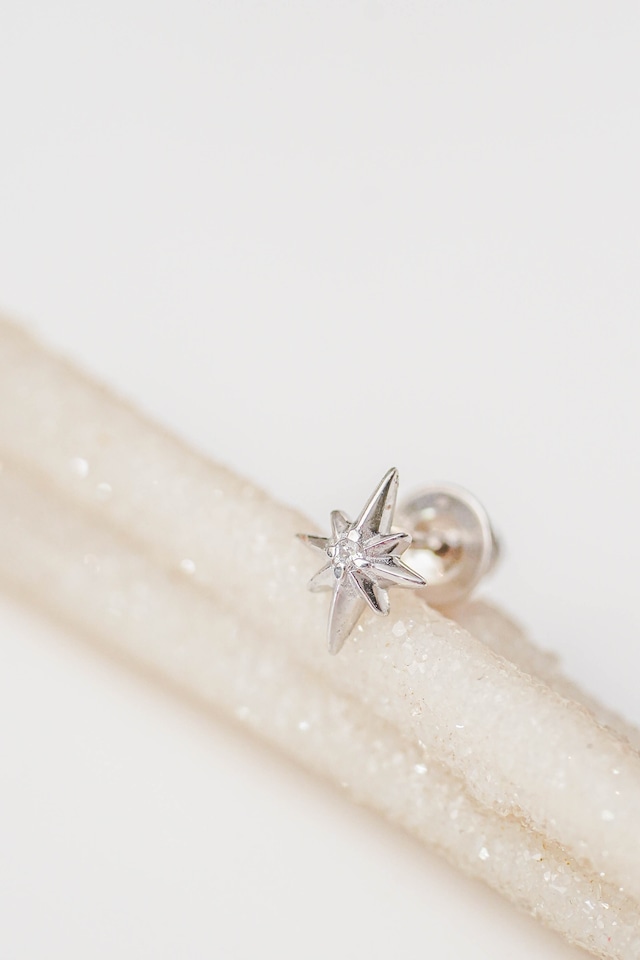 Shining Star Stud Earring【片耳用】Silver925