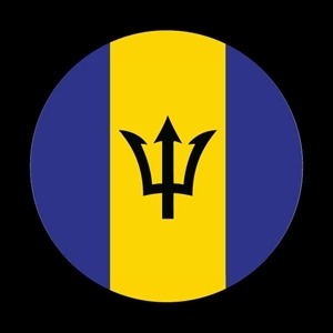 213番 ゴーバッジ FLAG BARBADOS