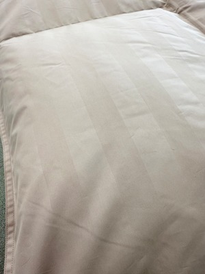 ホスタ【シングル】【ホワイト】【ベージュ】【DP330】