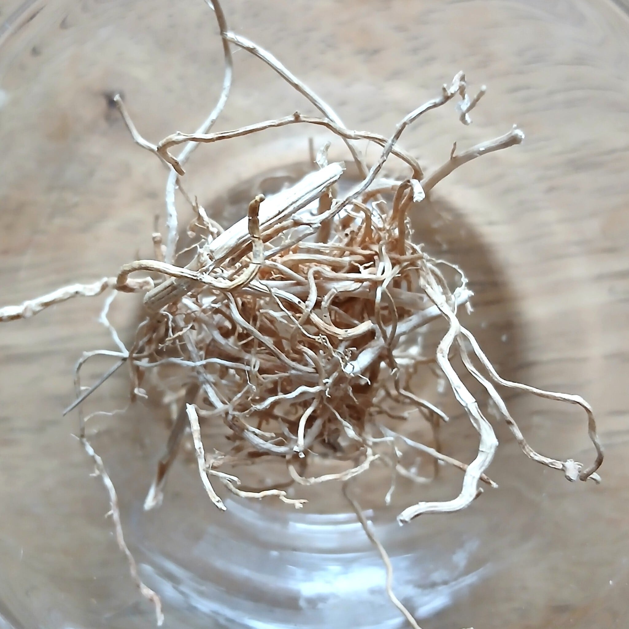 自然栽培 ベチバーティー VETIVER ROOT TEA 3G | aguadehierba
