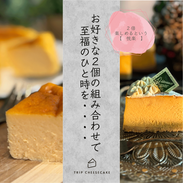 【送料無料】レギュラーセット