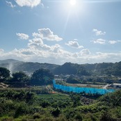 【不知火（しらぬひ）8KG】２月下旬より順次発送