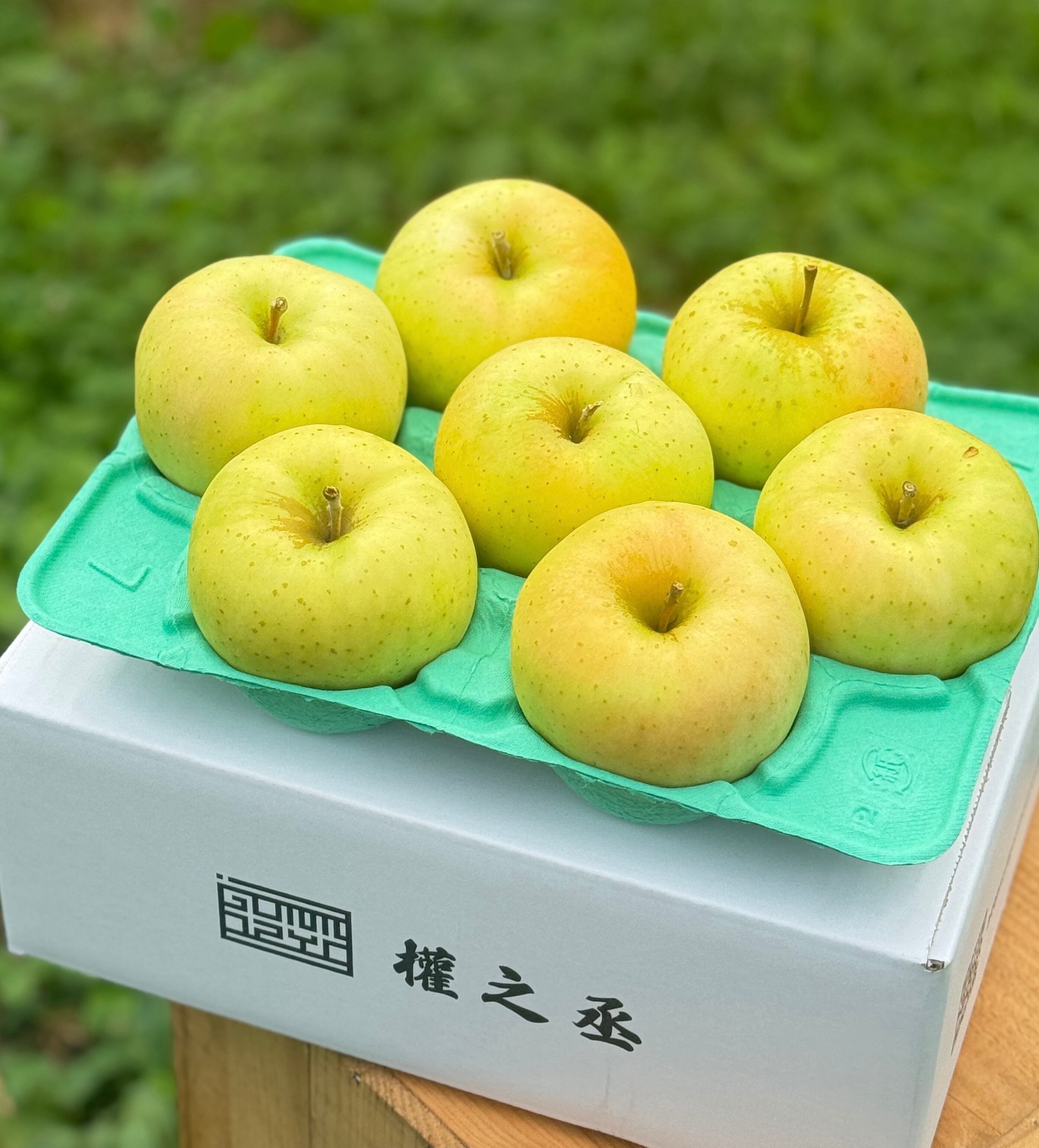 トキ家庭用　2kg