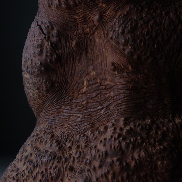 Tree burl