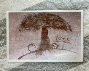 桜の木（ポストカード）