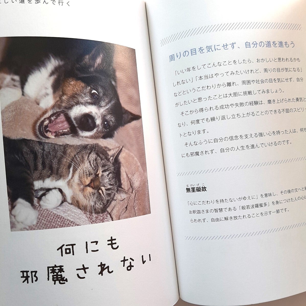 たれにもわかる　ハンニャ心経 たれにもわかる ハンニャ心経 Amazon.com