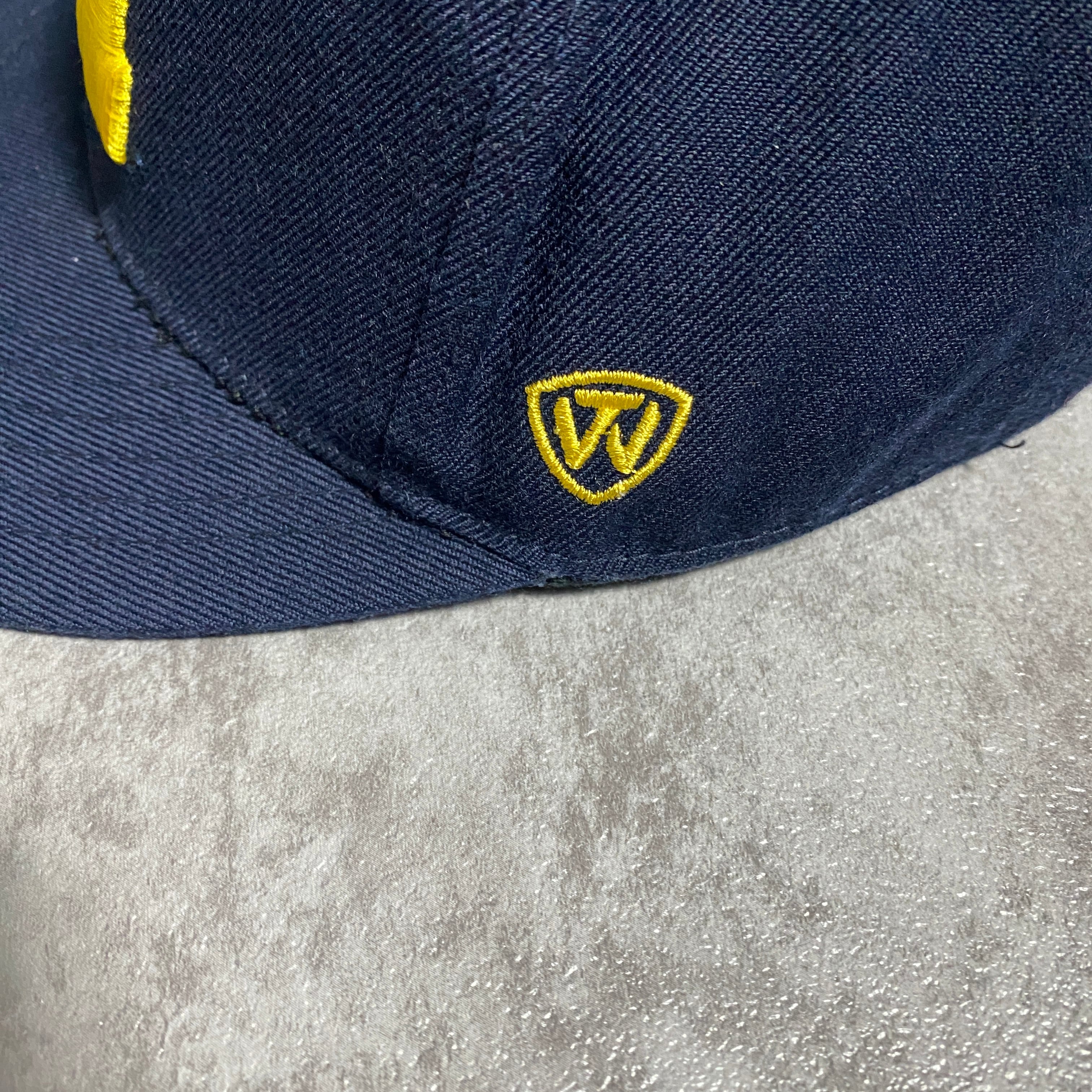 90's TOP OF THE WORLD Michigan ミシガン大学 刺繍カレッジロゴ