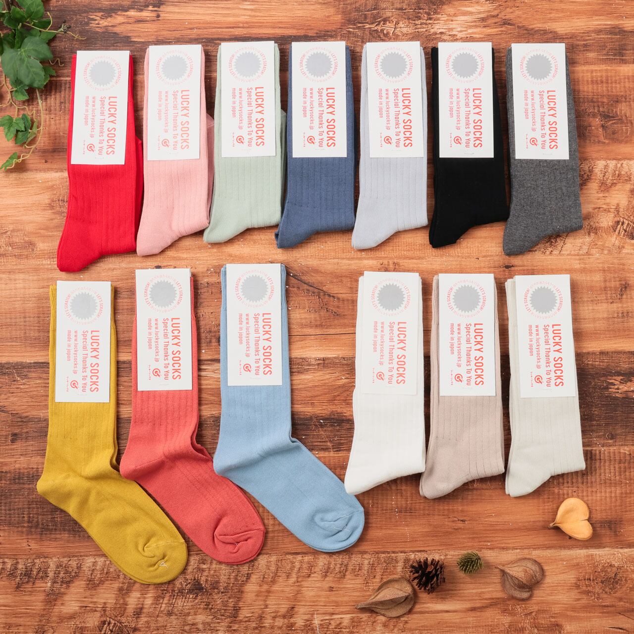 靴下 ソックス ラッキーソックス LUCKY SOCKS ライトリブソックス Light Rib Socks レディース オールシーズン シンプル 快適 コットン 日本製 ギフト プレゼント 22-25cm LS-7001 Ls013