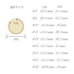 silver ring  SMR3 リング