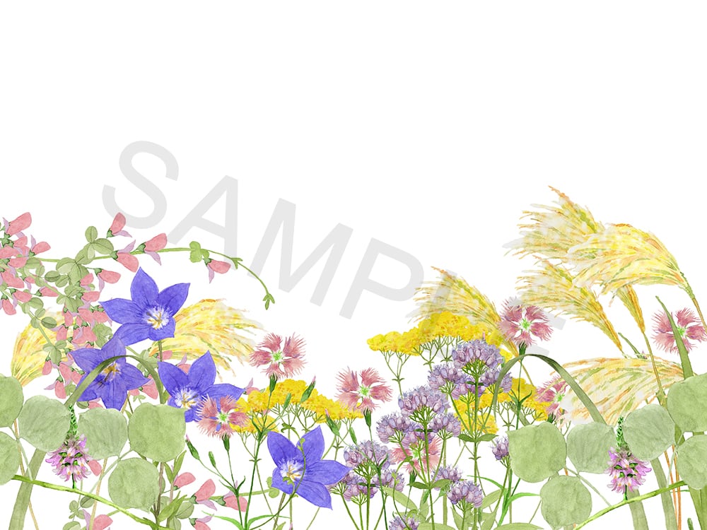 花の絵 53402fea2d888acccfa61afa37a7a0