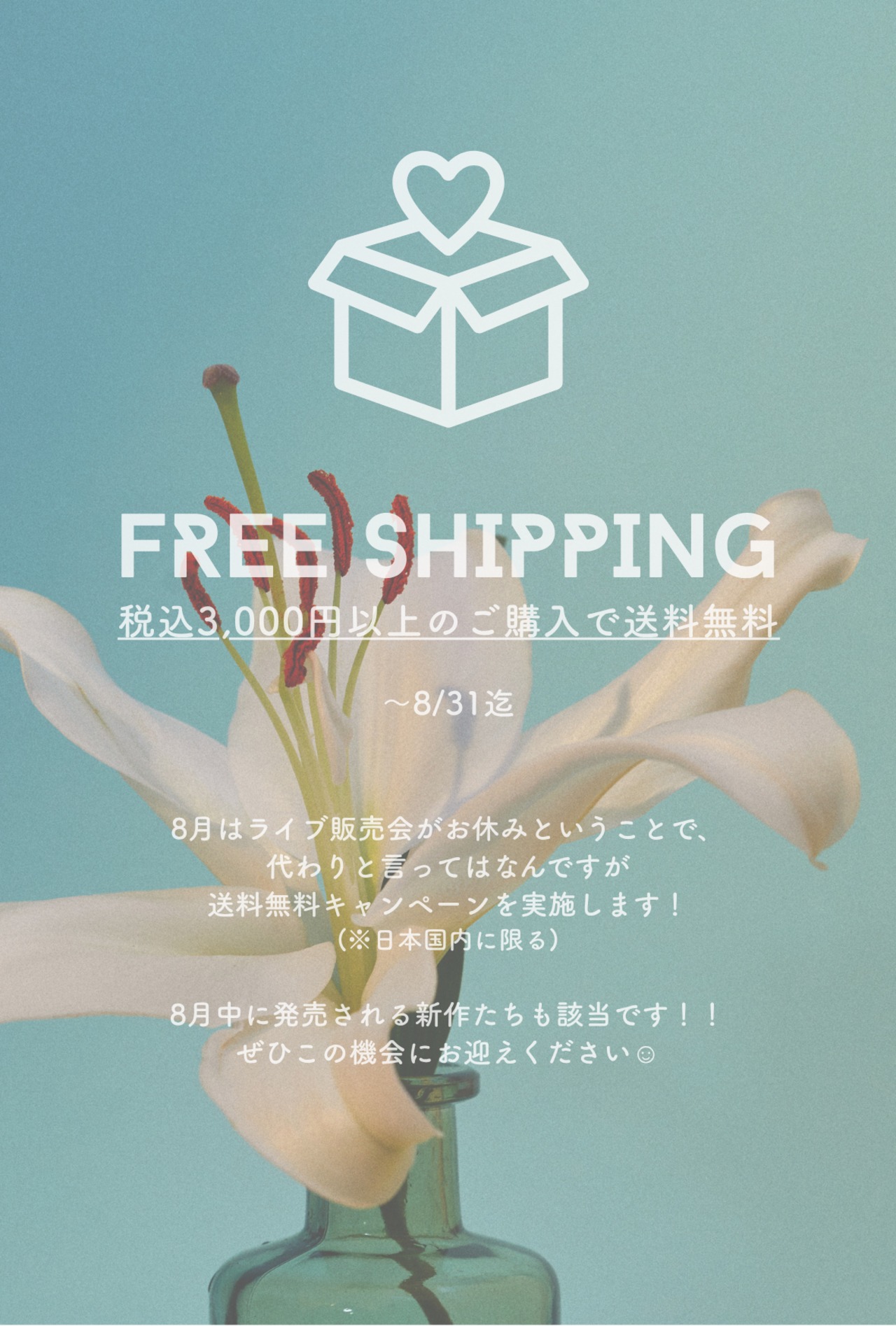 8月限定！送料無料キャンペーン！！