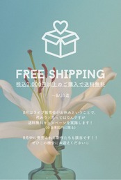 8月限定！送料無料キャンペーン！！