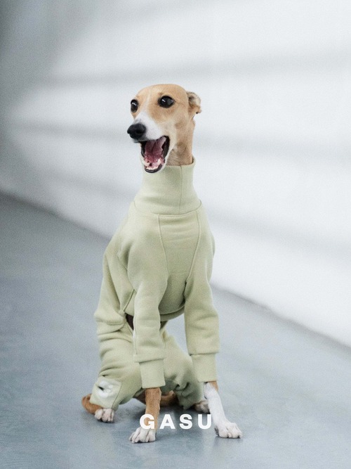 GASU Assembler / [Celadon Green] 4-Leg Jumpsuit 【サイズ2】
