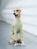 GASU Assembler / [Celadon Green] 4-Leg Jumpsuit 【サイズ2】