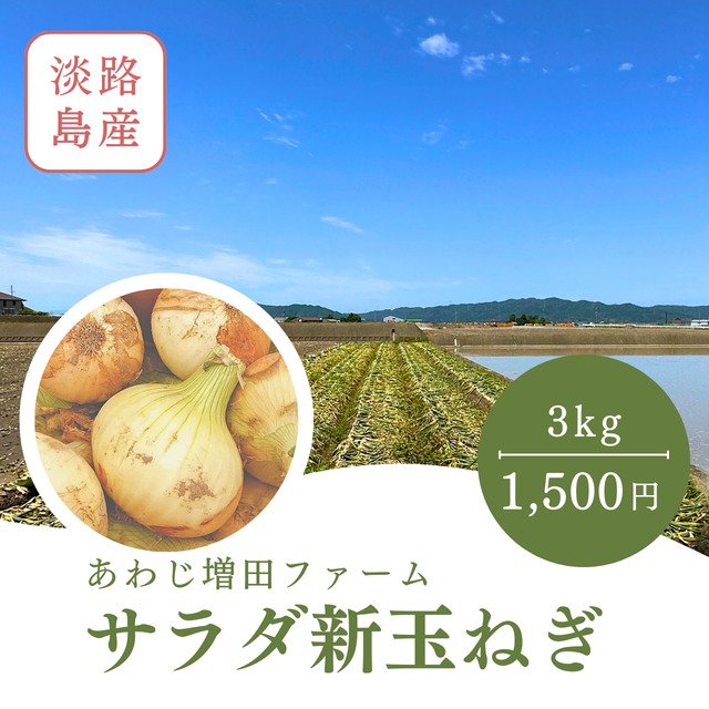 限定50箱【淡路島】春の味・サラダ新玉ねぎ（３キロ）