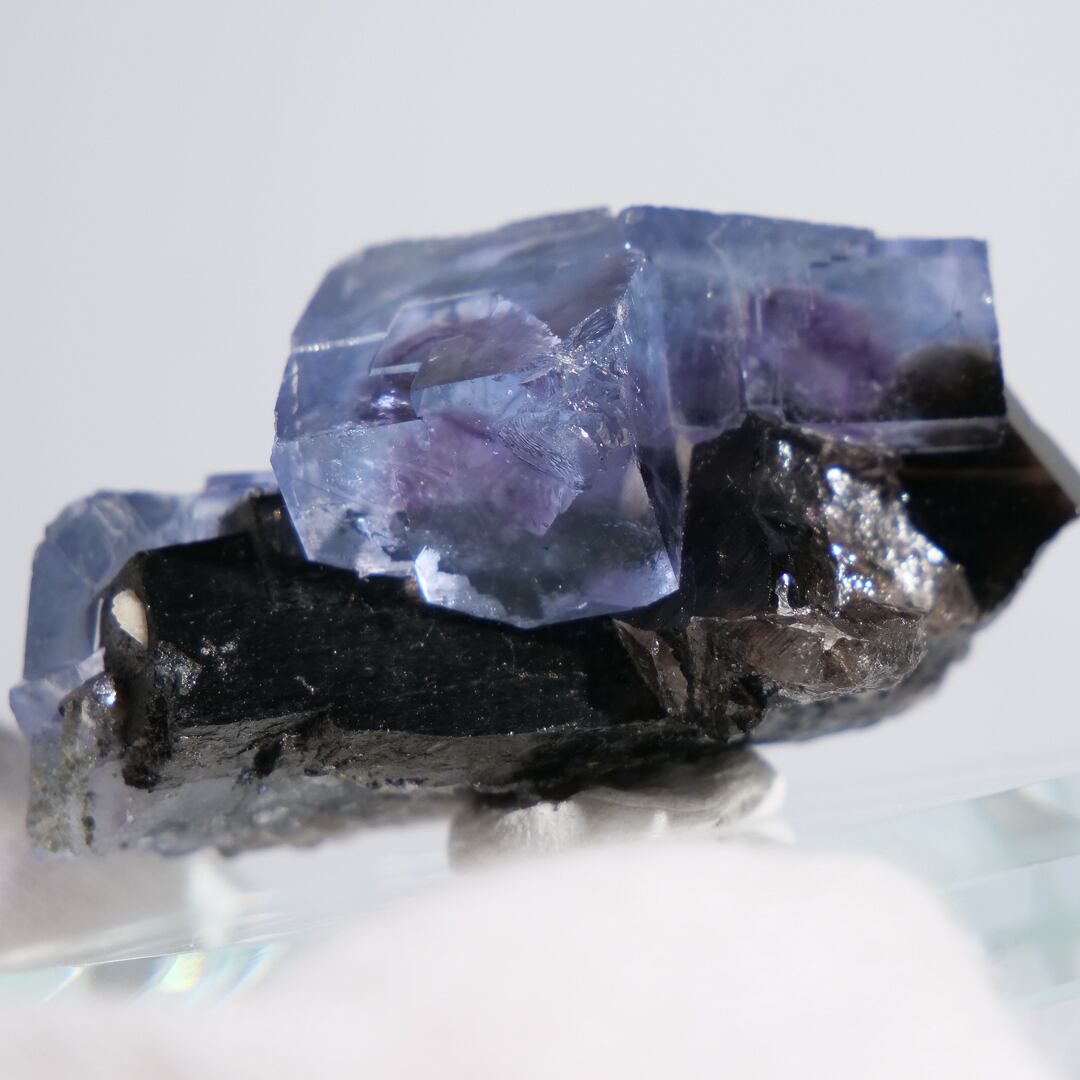 フローライト 共生 中国・ヤオガンシャン産 / 原石 標本【F_2