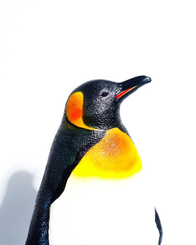 big vinyl King Penguin objcect