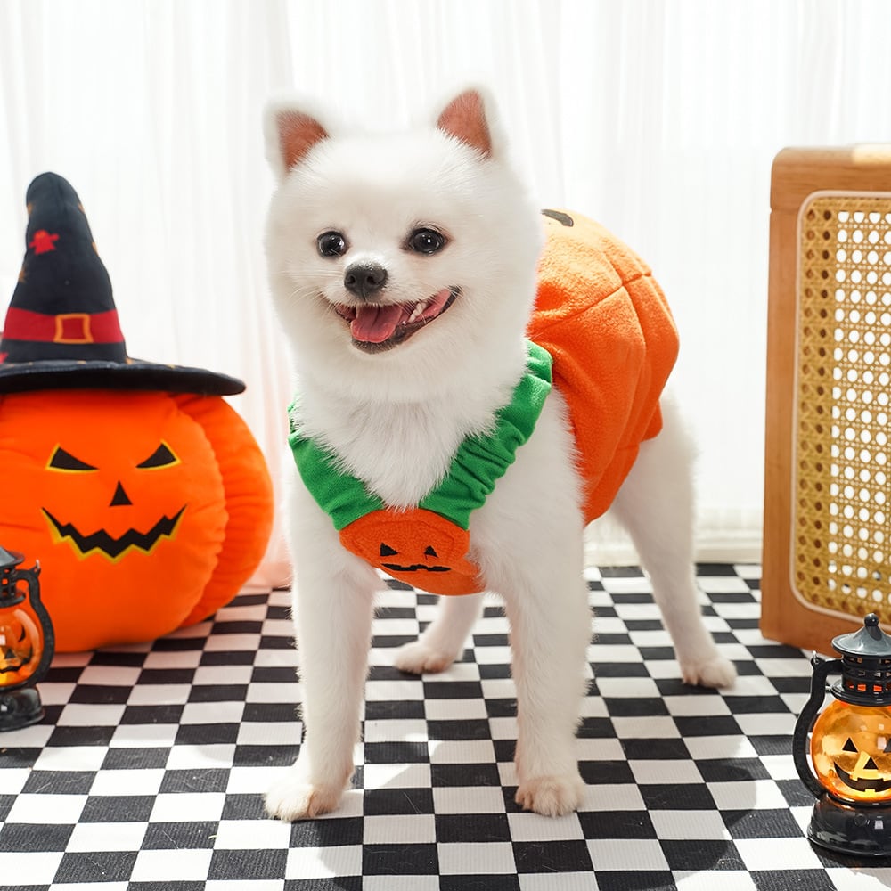 犬服ハンドメイド✨ハロウィン✨ Sサイズ】ペット服 ハロウィン コスプレ かぼちゃ パンプキン 帽子