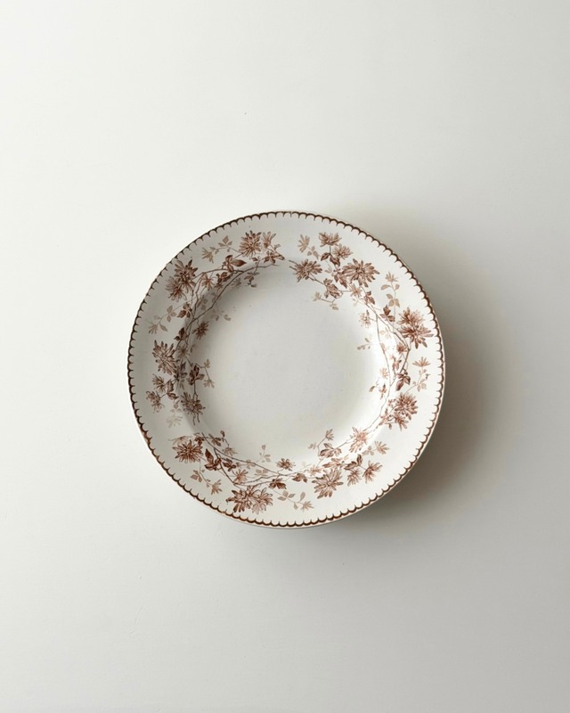 Creil et Montereau 　クレイユモントロー　/  “Mignardise”　brown　デイジーの深皿プレート　b