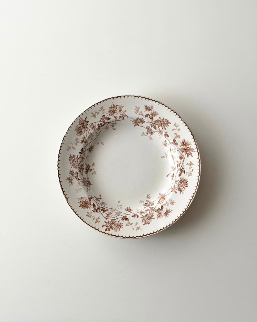 Creil et Montereau クレイユモントロー / “Mignardise” brown デイジーの深皿プレート b