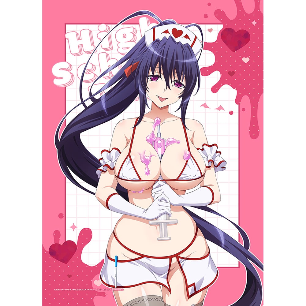 ハイスクールD×D HERO 描き下ろしB2タペストリー(姫島朱乃/白ナース)Wスエード