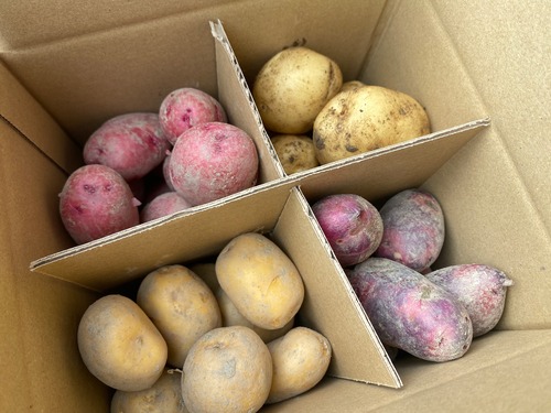 じゃがいも4種類食べ比べ 20kg（5kg×4品種）自然栽培