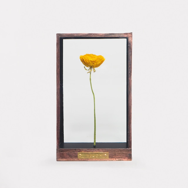 Botanical Frame D01 - Copper