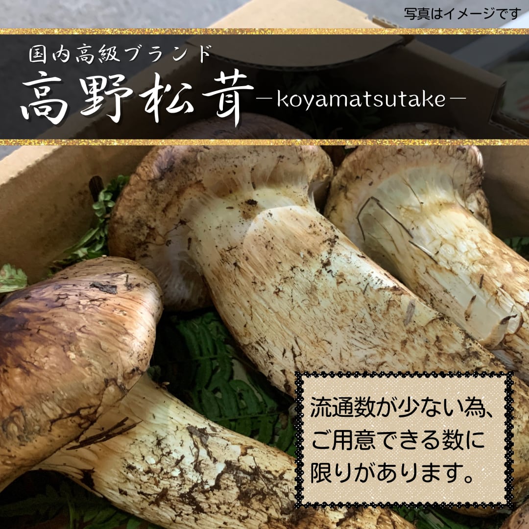 国産松茸 22日朝採れ - 野菜