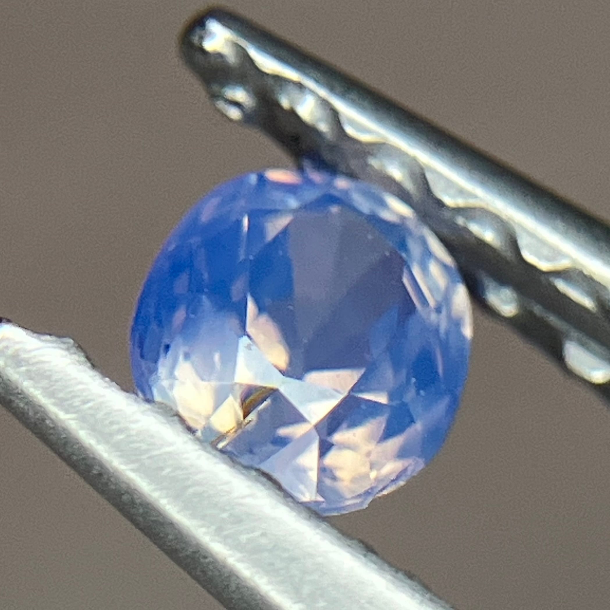 シルキーサファイア① きらめく海のシルキーサファイア315 シルキーサファイア① きらめく海のシルキーサファイア315