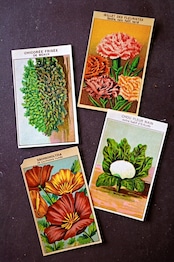 20s フランス 4set 膨満な花々と野菜たち 種子袋用ラベルd アンティーク