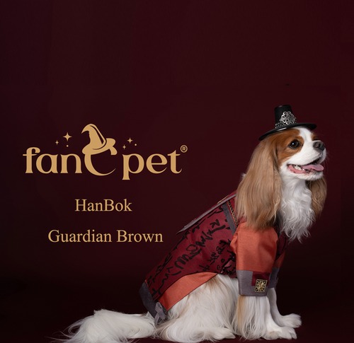 [予約販売] [fanCpet］Guardian HanBok Boy