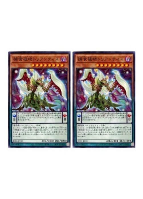 ヌメロン デッキ 遊戯王 Numeron deck | PAY ID