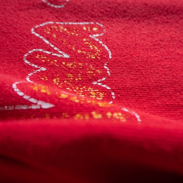 "IOWA STATE" '90s vintage JERZEES body sweat