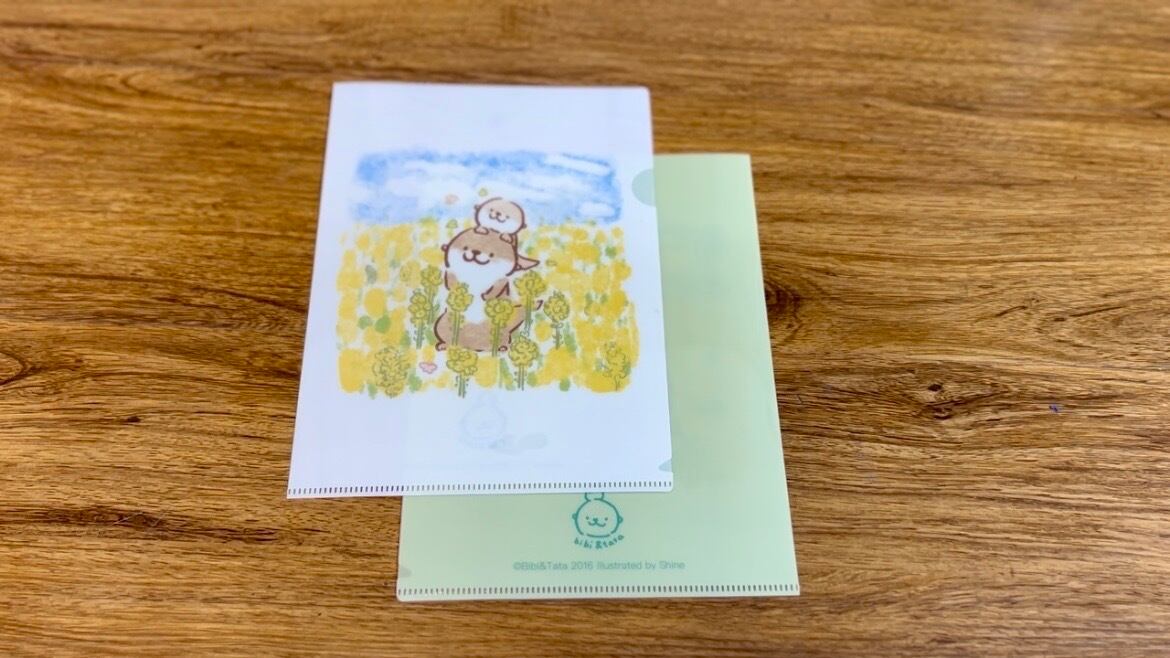 カワウソ親子と菜の花畑 春限定クリアファイルA5