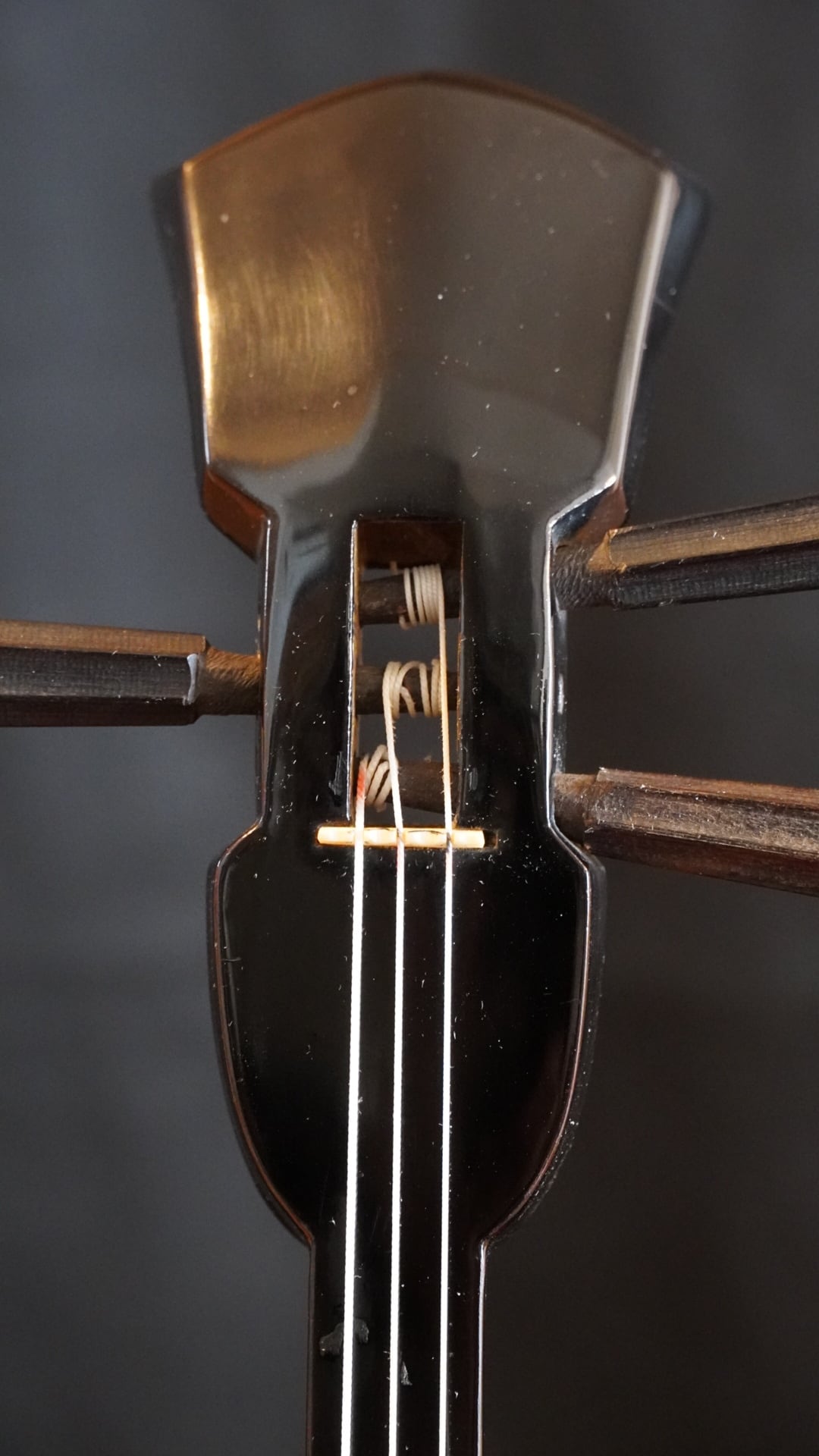 三線本体 | 胴巻屋