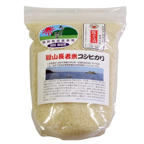 R5年産 特別栽培米コシヒカリ 2kg 白米（湖山長者米）