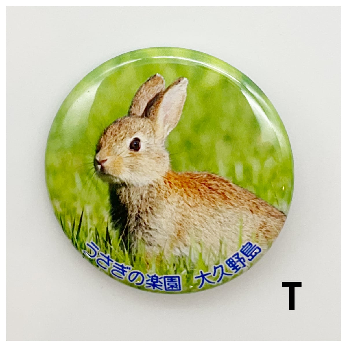 大久野島うさぎ 缶バッジ | Pay ID