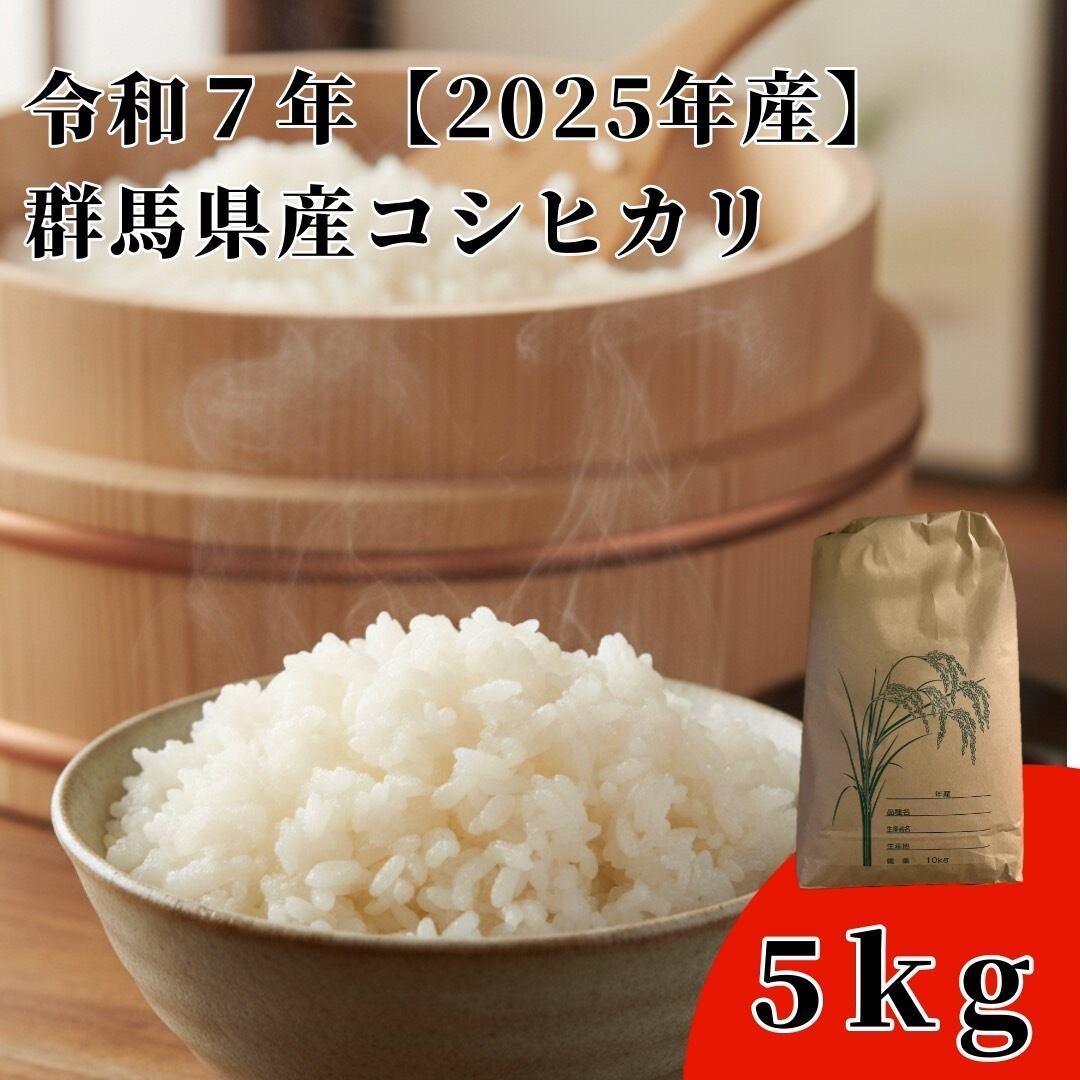 R7年産 新米 群馬県産 とちぎの星 15キロ 玄米 送料込 15kg ② 【公式